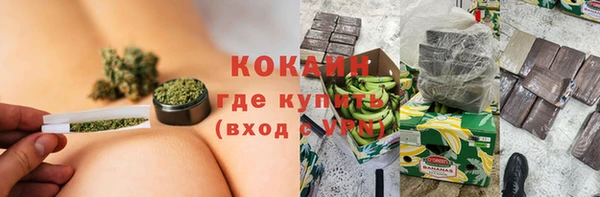 стаф Нефтегорск