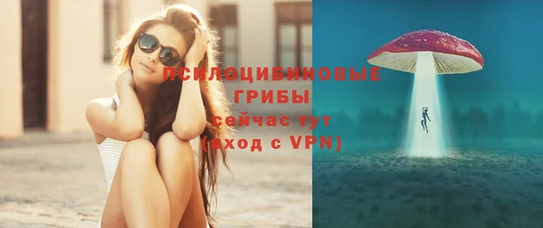 стаф Нефтегорск