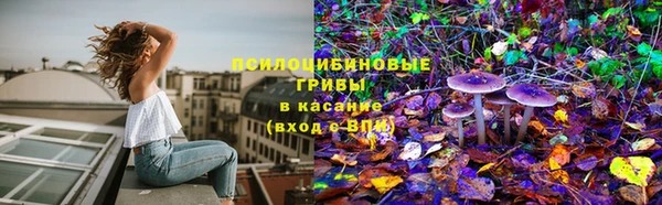MESCALINE Нефтекумск