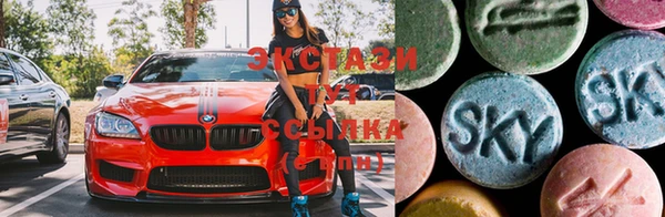 стаф Нефтегорск