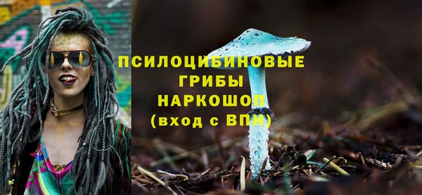 трава Нея