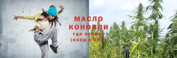 шишки Билибино